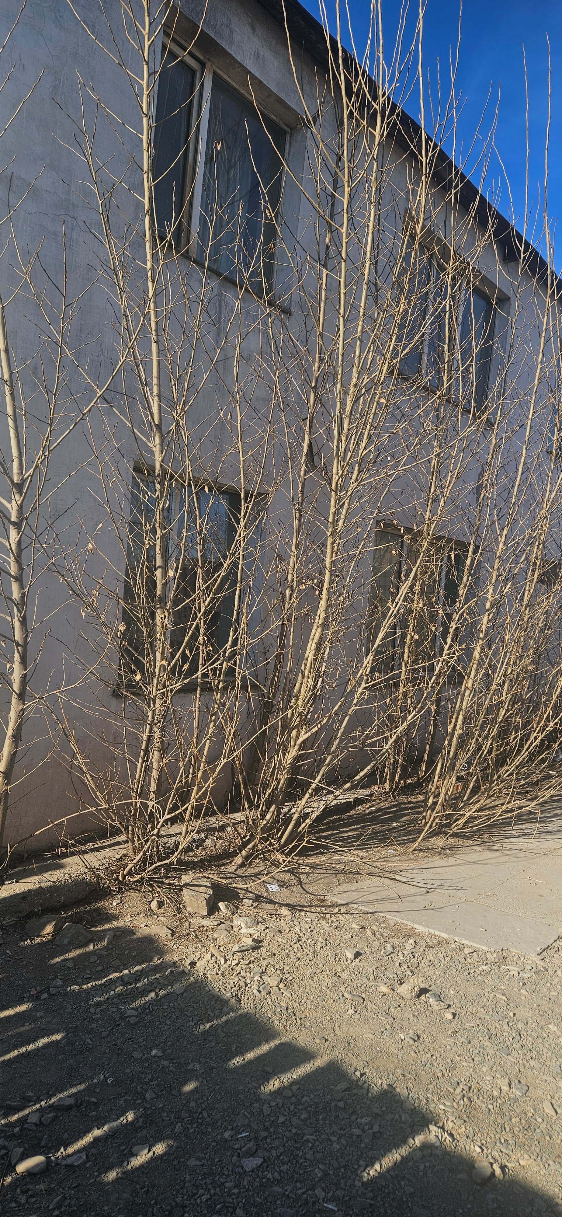 Ууганбаяр